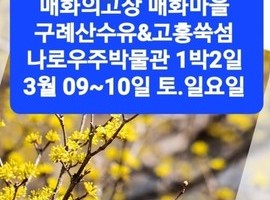 매화의고장 광양매화마을/고흥우주선 박물관, 고흥 고양이